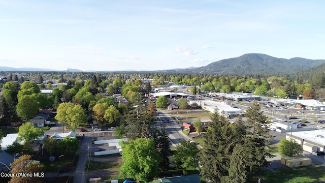 birds eye view of property featuring a mountain view