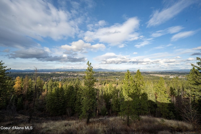 5969 W Highland Dr, Coeur Dalene, ID 83814 - view of local wilderness featuring a view of trees and a mountain view