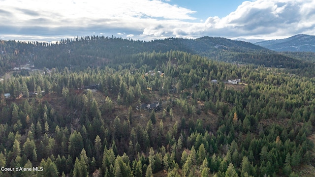 5969 W Highland Dr, Coeur Dalene, ID 83814 - view of mountain feature with a forest view
