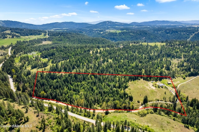 26005 S Upper Black Lake Rd, Saint Maries, ID 83861 - photo 29