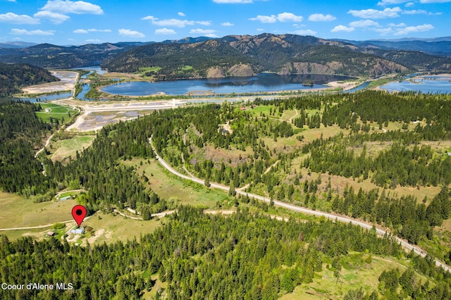 26005 S Upper Black Lake Rd, Saint Maries, ID 83861 - photo 3