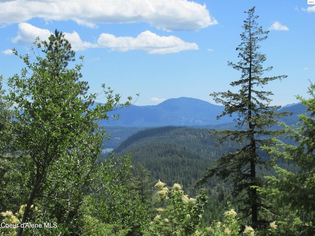 1959 Thimbleberry Ln, Sandpoint, ID 83864 - property view of mountains featuring a forest view