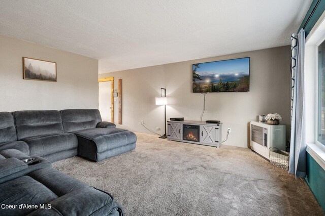 432 Dickinson Ave, Priest River, ID 83856 - photo 5