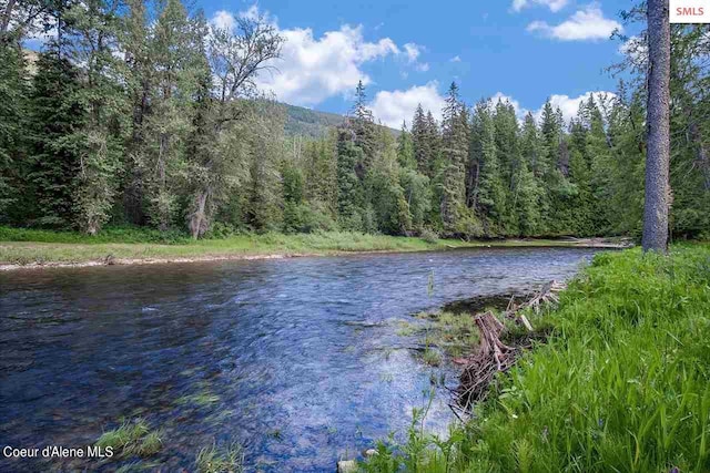 water view with a wooded view
