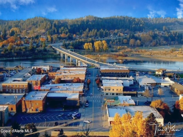 aerial view featuring a water view and a wooded view