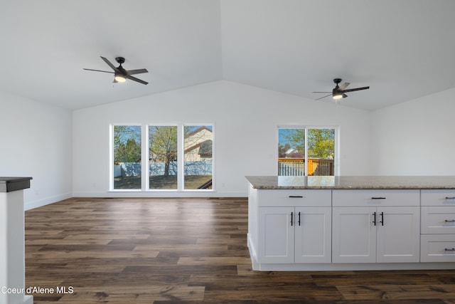 7435 N Cornwall St, Coeur Dalene, ID 83815 - kitchen featuring plenty of natural light, lofted ceiling, a ceiling fan, and open floor plan
