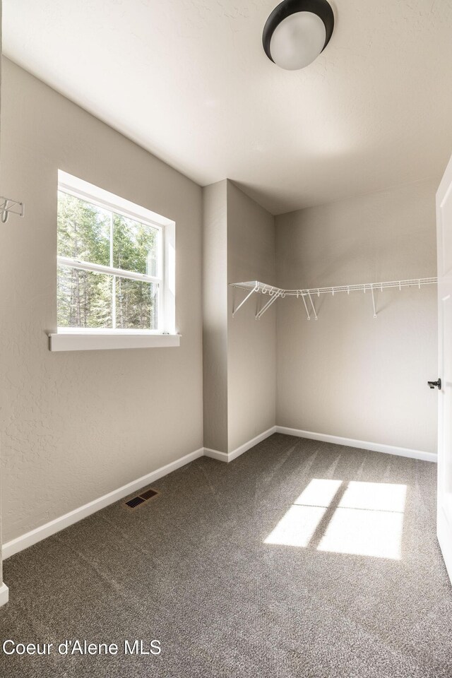 7587 E Duke Ln, Athol, ID 83801 - walk in closet featuring carpet floors and visible vents