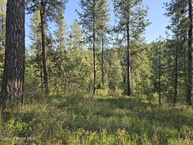 NKA Deer Rd, Harrison, ID 83833