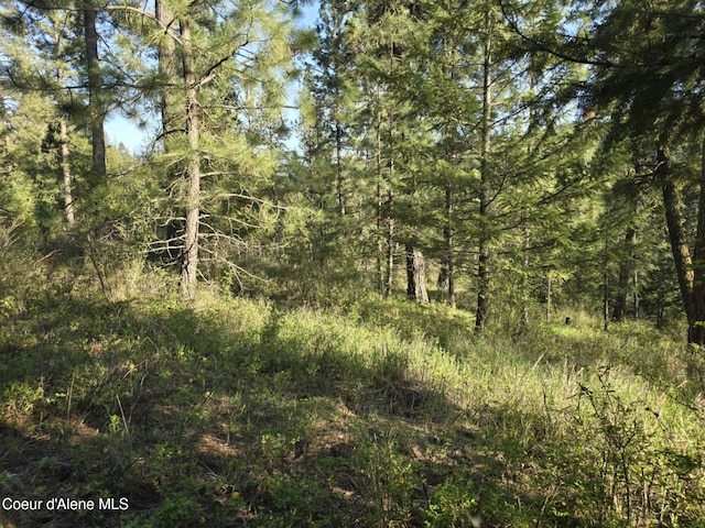 NKA Deer Rd, Harrison, ID 83833