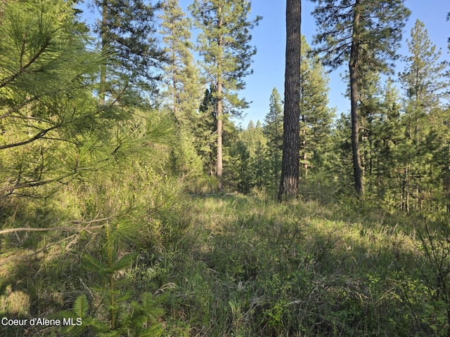 NKA Deer Rd, Harrison, ID 83833