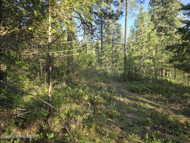 NKA Deer Rd, Harrison, ID 83833