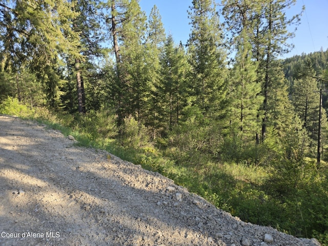 NKA Deer Rd, Harrison, ID 83833