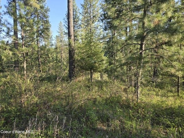 NKA Deer Rd, Harrison, ID 83833