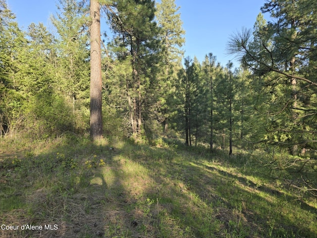NKA Deer Rd, Harrison, ID 83833