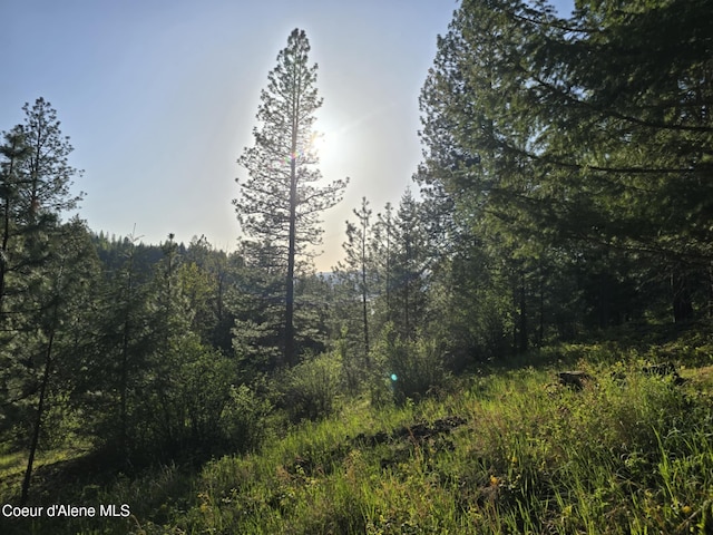 NKA Deer Rd, Harrison, ID 83833