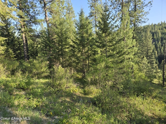 NKA Deer Rd, Harrison, ID 83833