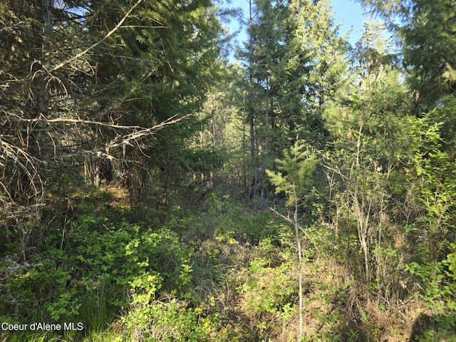 NKA Deer Rd, Harrison, ID 83833