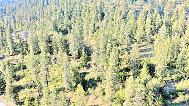 NKA Deer Rd, Harrison, ID 83833