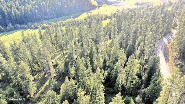 NKA Deer Rd, Harrison, ID 83833