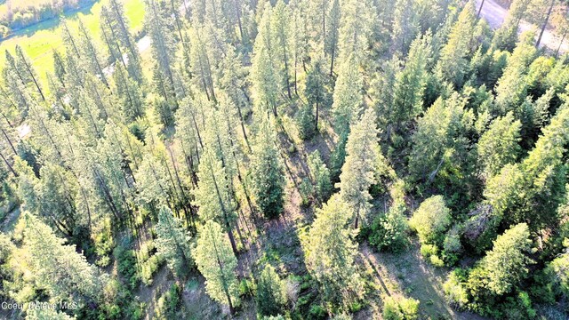 NKA Deer Rd, Harrison, ID 83833