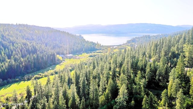 NKA Deer Rd, Harrison, ID 83833