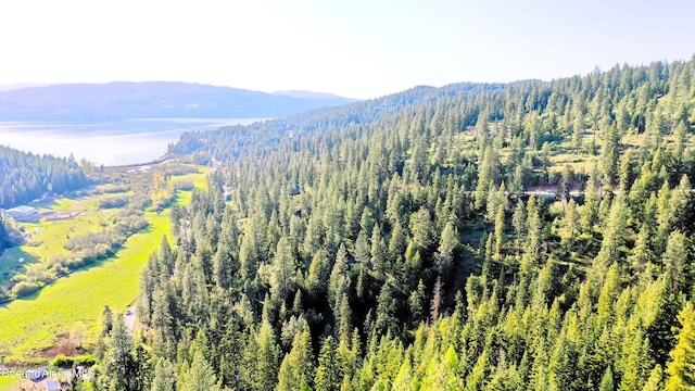 NKA Deer Rd, Harrison, ID 83833
