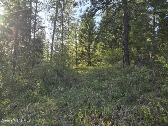 NKA Deer Rd, Harrison, ID 83833