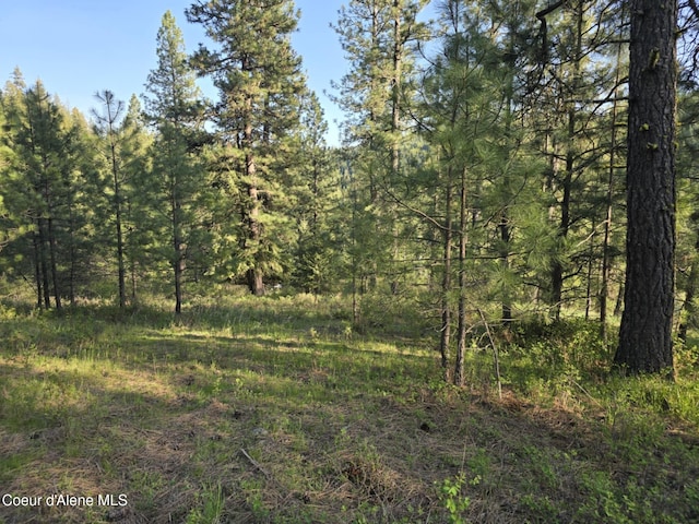 NKA Deer Rd, Harrison, ID 83833