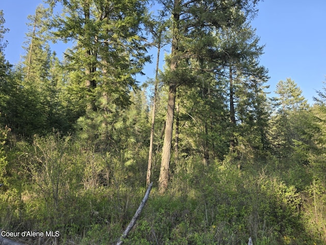 NKA Deer Rd, Harrison, ID 83833