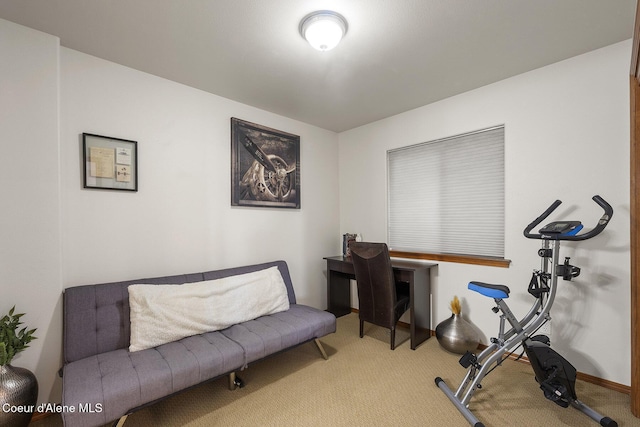 19820 S Alcan Rd, Coeur Dalene, ID 83814 - office area featuring carpet