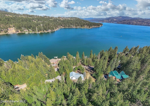 19820 S Alcan Rd, Coeur Dalene, ID 83814 - drone / aerial view of a heavily wooded area and a water and mountain view