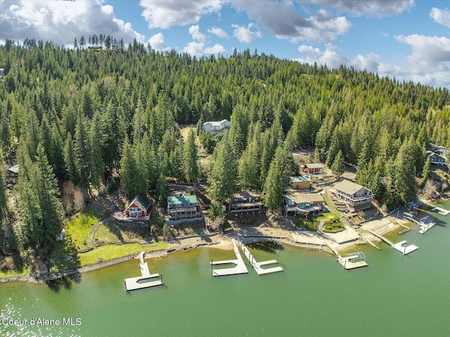 19820 S Alcan Rd, Coeur Dalene, ID 83814 - view of property location featuring a forest and a nearby body of water