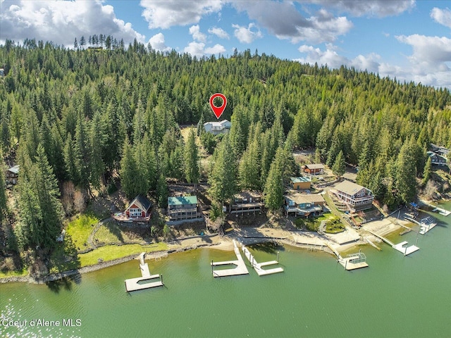 19820 S Alcan Rd, Coeur Dalene, ID 83814 - aerial overview of property's location featuring a forest and a large body of water