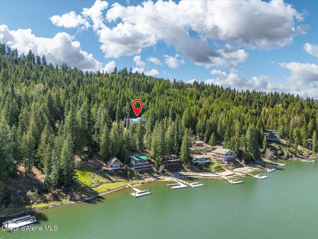 19820 S Alcan Rd, Coeur Dalene, ID 83814 - bird's eye view of a forest and a nearby body of water
