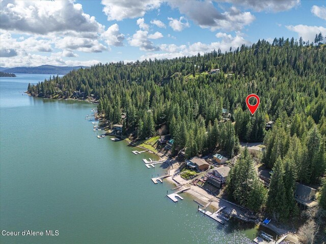 19820 S Alcan Rd, Coeur Dalene, ID 83814 - view of property location with a large body of water and a forest