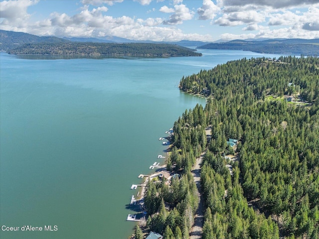 19820 S Alcan Rd, Coeur Dalene, ID 83814 - bird's eye view of a water and mountain view and a forest