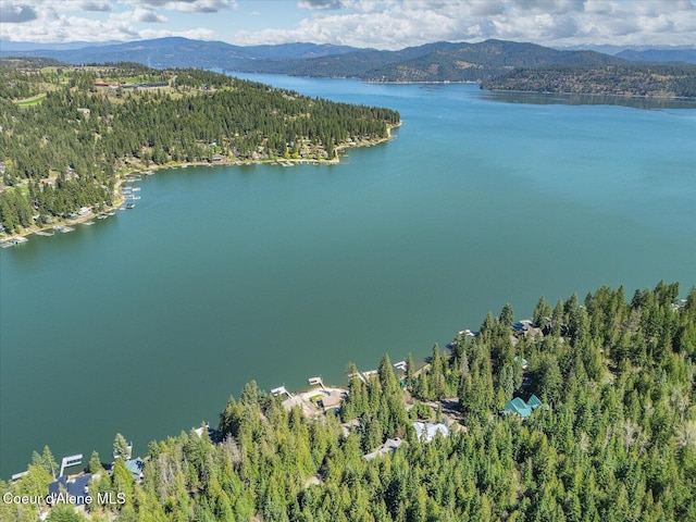 19820 S Alcan Rd, Coeur Dalene, ID 83814 - aerial view of a water and mountain view and a forest