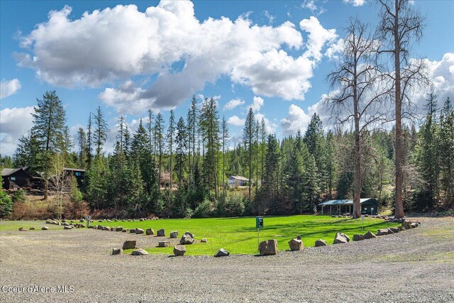 19820 S Alcan Rd, Coeur Dalene, ID 83814 - surrounding community featuring a forest view and a yard