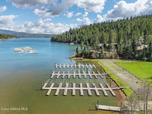 19820 S Alcan Rd, Coeur Dalene, ID 83814 - drone / aerial view of a large body of water and a forest