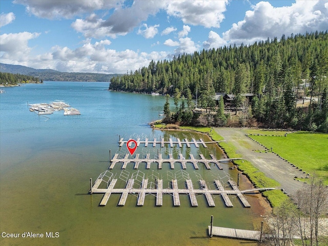 19820 S Alcan Rd, Coeur Dalene, ID 83814 - aerial view of a large body of water and a forest