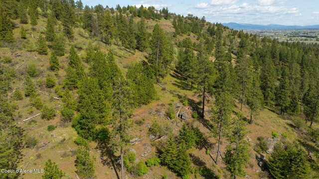 NKA W Julia Dr, Hauser, ID 83854