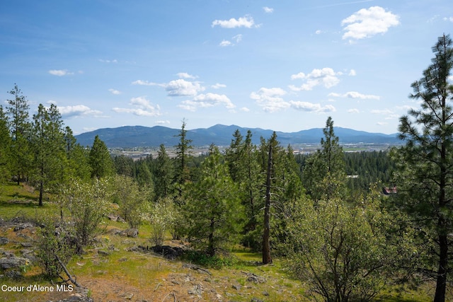 NKA W Julia Dr, Hauser, ID 83854