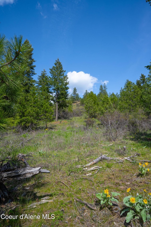 NKA W Julia Dr, Hauser, ID 83854