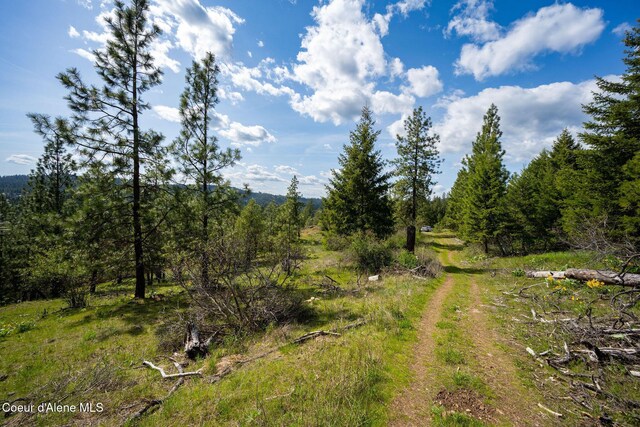 NKA W Julia Dr, Hauser, ID 83854