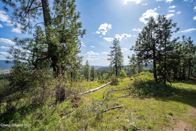 NKA W Julia Dr, Hauser, ID 83854
