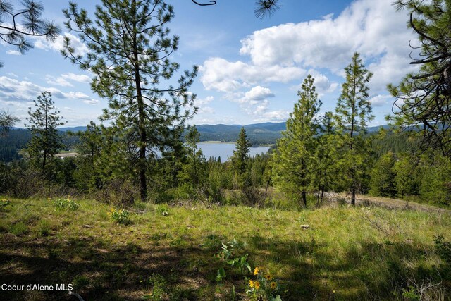 NKA W Julia Dr, Hauser, ID 83854