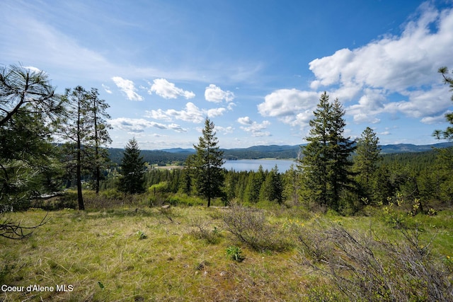 NKA W Julia Dr, Hauser, ID 83854