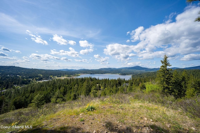 NKA W Julia Dr, Hauser, ID 83854