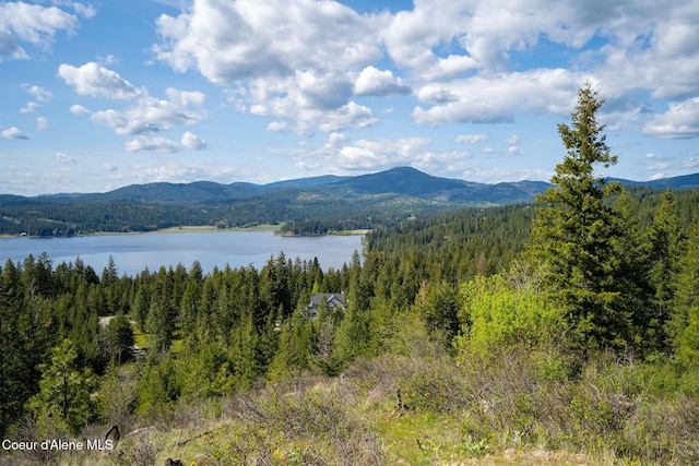 NKA W Julia Dr, Hauser, ID 83854