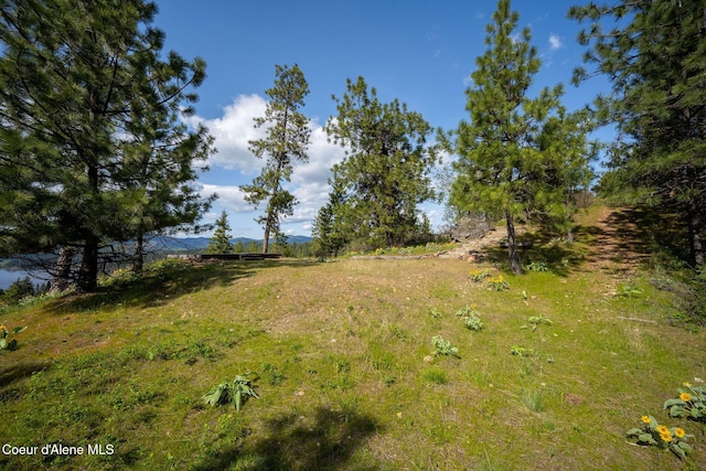 NKA W Julia Dr, Hauser, ID 83854